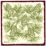 Pine Cones with Evergreens.....The familiar woody cone is the female cone, which produces seeds. The Pine nuts collected from certain pine cones are the edible seeds of pines. They are also known as pignoli nuts which are used in making cookies and basil pesto