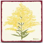 GoldenRod Wall Art, Tile, Trivet Painted with brilliant enamels