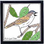 Red-Eyed Vireo Tile,Red-Eyed Vireo Wall Plaque,Red-Eyed Vireo Trivet